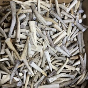 Deer Antler Point