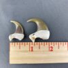 Cougar Claw