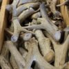 Deer Antler Knife Handles (Please read description)