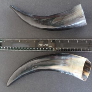 Cow Horn