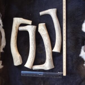 Elk Antler Scraper Handles