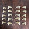 Black Bear Claw Set
