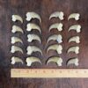 Black Bear Claw Set