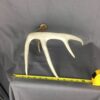 Deer Antler