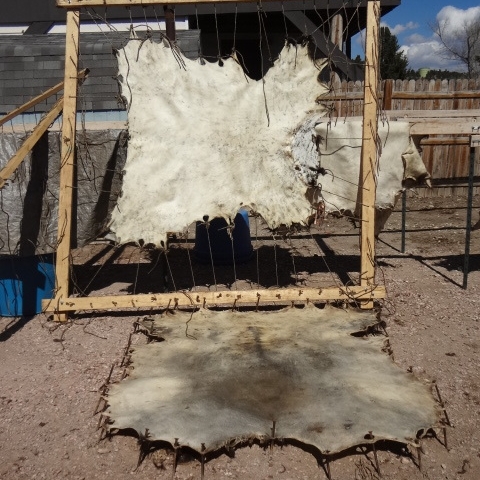 Black Bear Rawhide