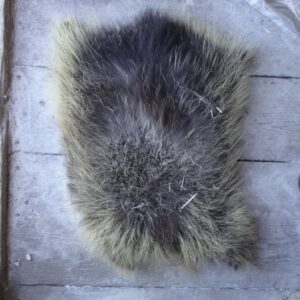 Porcupine Skin (Dried)