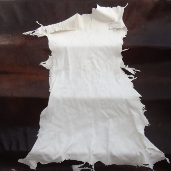 DSC01844 Deer Leather (White)