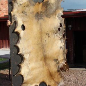 Elk Rawhide