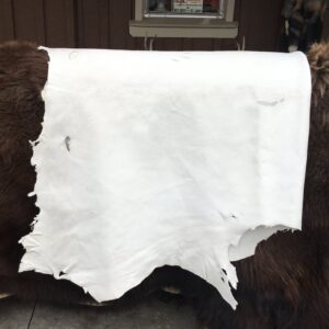 Elk Leather (White)