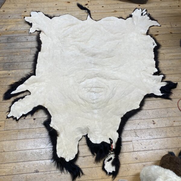 11 Buffalo Hide #11