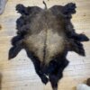Buffalo hide #12