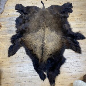 Buffalo hide #12
