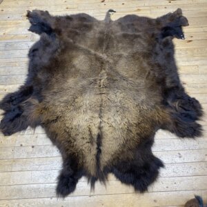 Buffalo Hide #13