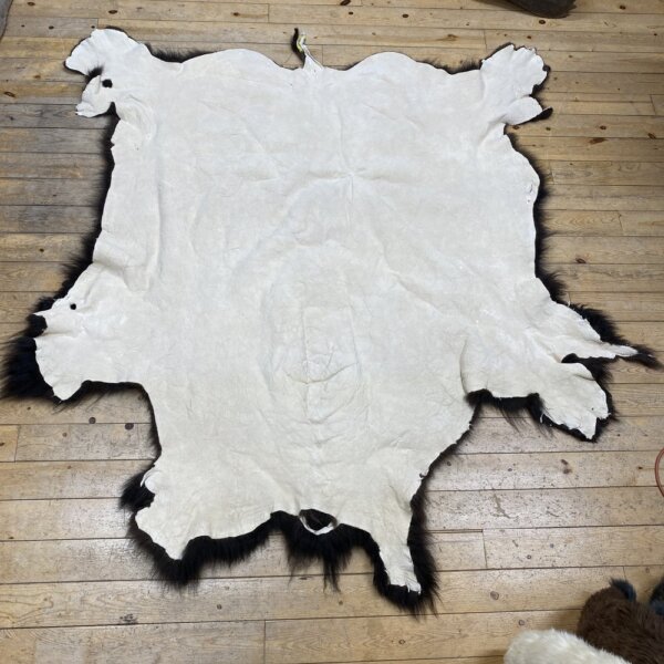 Buffalo Hide #13