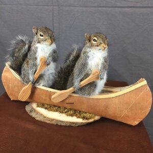 Squirrel Canoe Mount (Double)
