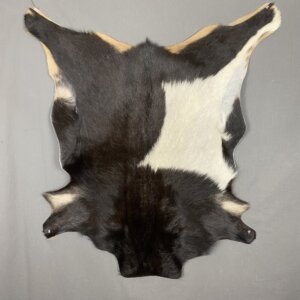 Goat Hide SQ4476