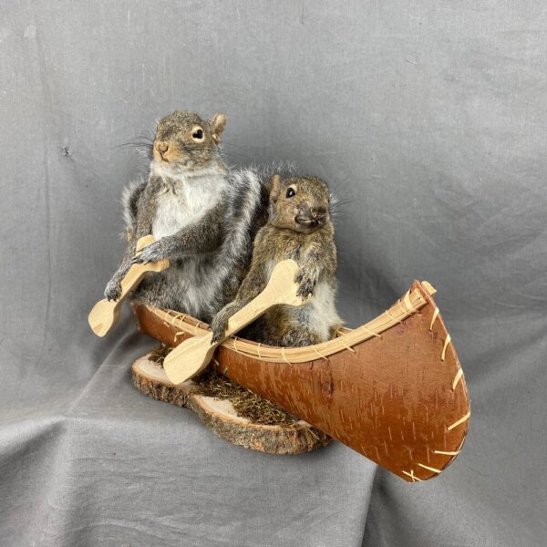 Squirrel Canoe Mount (Double)
