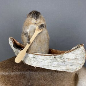 Muskrat Canoe Mount