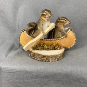 Chipmunk Canoe Mount (Double)