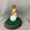 Chipmunk Golfing Mount