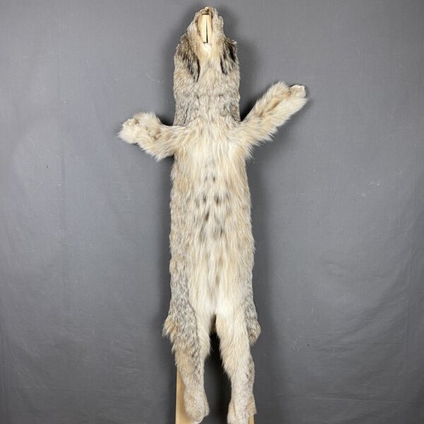 Lynx Hide SQ0338
