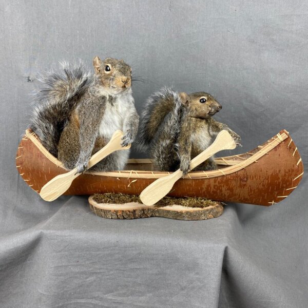 Squirrel Canoe Mount (Double)