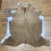 Cow Hide #11
