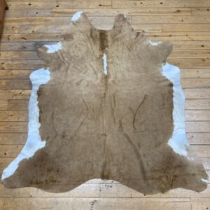 Cow Hide #11