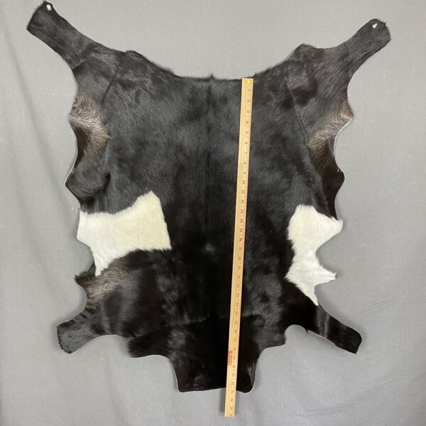 82DB3264-0F86-4107-8910-1C47B0B54176 Goat Hide SQ3447