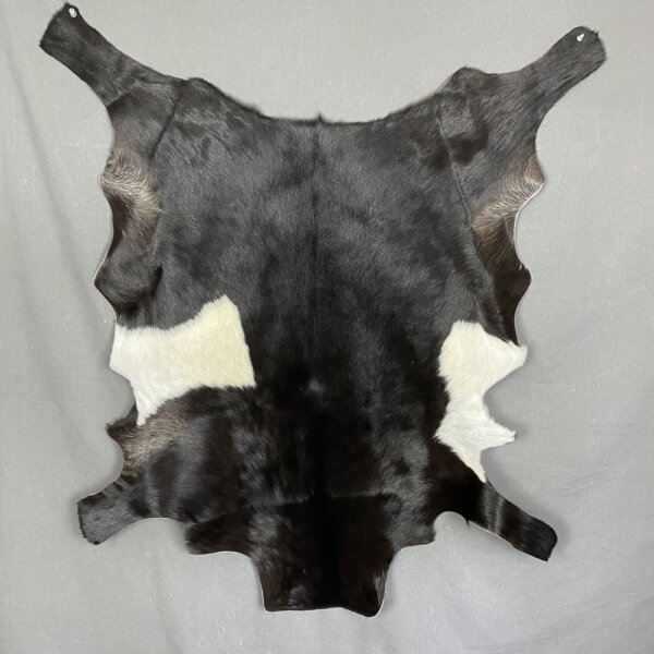83732245-2D2E-400A-A01C-AA5707F5AB9A Goat Hide SQ3447