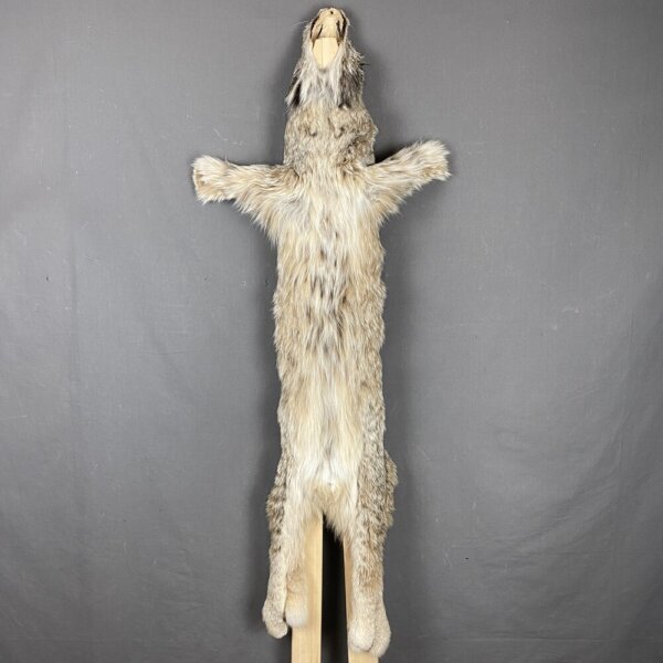 Lynx Hide SQ0621