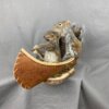 Squirrel Canoe Mount (Double)