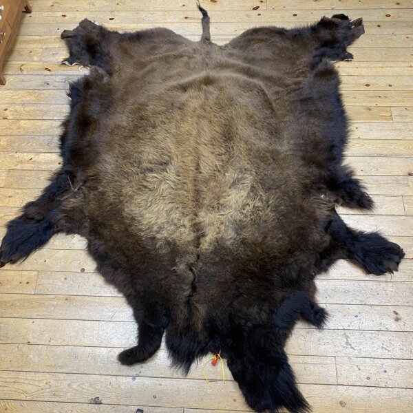 Buffalo Hide #21