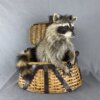 Raccoon (Fishing Basket)