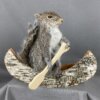 Squirrel canoe Mount (Single)