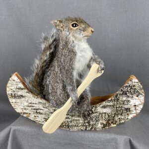 Squirrel canoe Mount (Single)