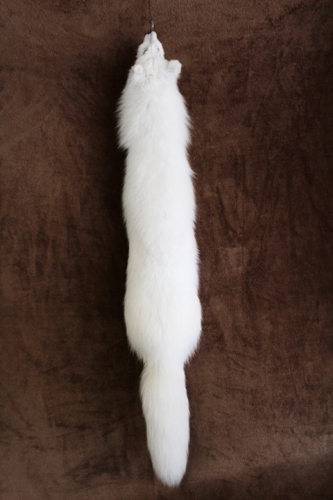 Arctic Fox Fur