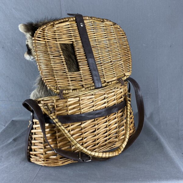 Raccoon (Fishing Basket)