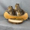 Chipmunk Canoe Mount (Double)