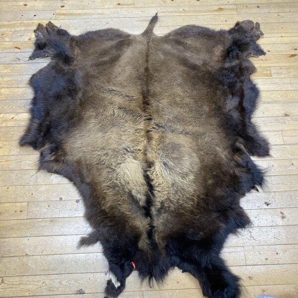 BFA33BB9-C206-4EB0-8396-A4479E51A1D3 Buffalo Hide #16