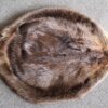 Beaver Hide