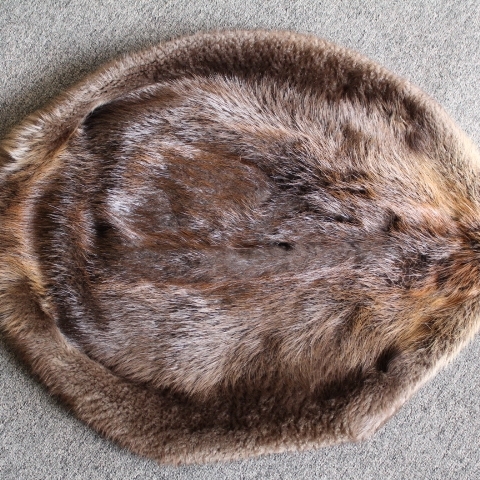 Beaver Hide