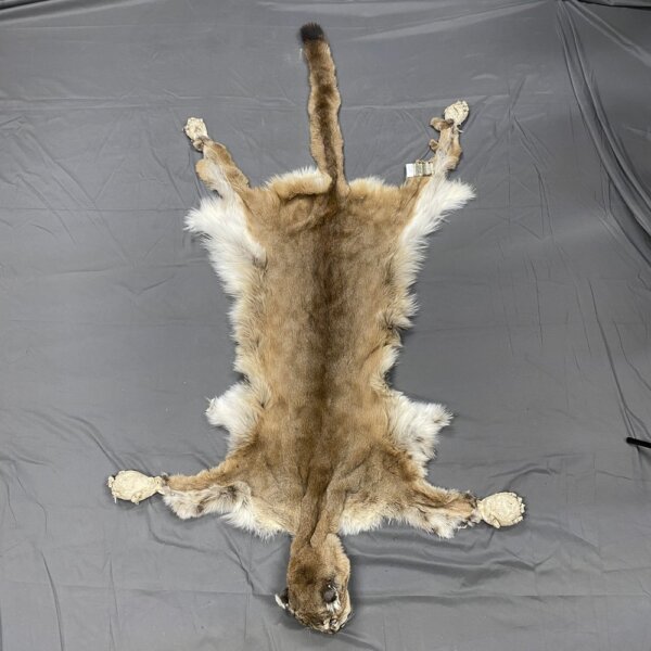 Cougar Hide SQ6333