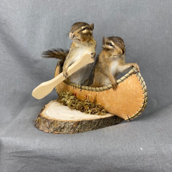 CAF10156-315D-427B-BF50-6E0AABE6F54B Chipmunk Canoe Mount (Double)