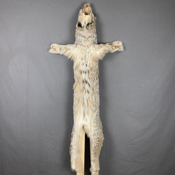 Lynx Hide SQ6173