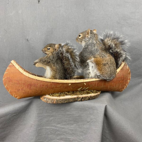 Squirrel Canoe Mount (Double)