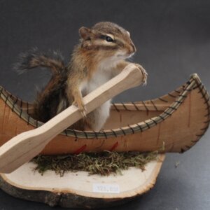 Chipmunk Canoe Mount (Single)