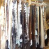 Cow Hide #16