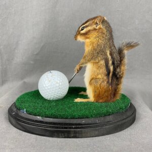 Chipmunk Golfing Mount