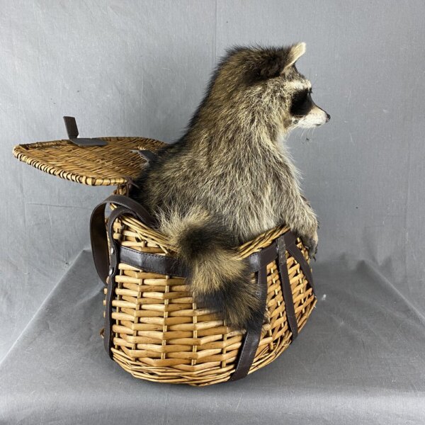 Raccoon (Fishing Basket)